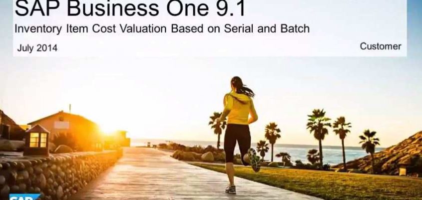 SAP Business One 9.1- Bewertung auf Basis von Chargen und Seriennummern