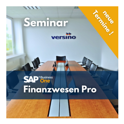 SAP-Business-One-Finance-Schulung