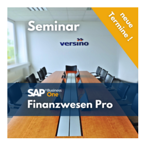 SAP-Business-One-Finance-Schulung