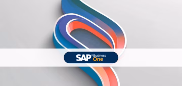 Paragrafen SAP B1