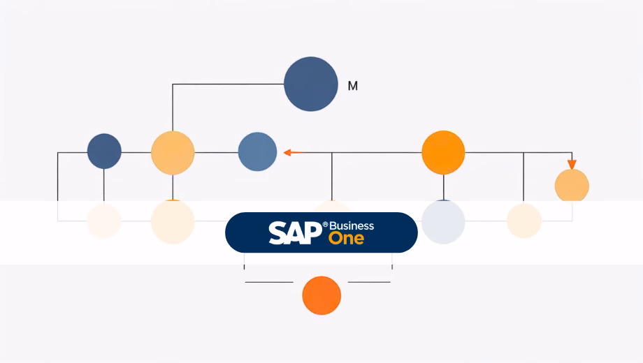 SAP Business One Interne Abstimmung