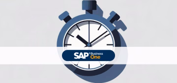 WEB-Zeiterfassung für SAP Business One