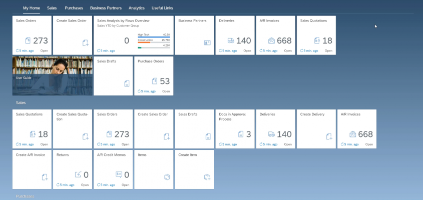 SAP Business One Web Client