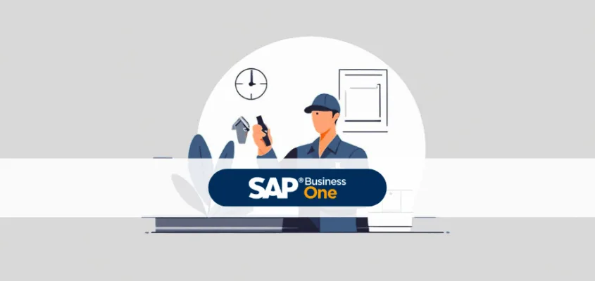 SAP Business One maintenance, upgrade and update