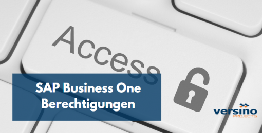 SAP Business One Authorizations
