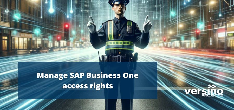 Manage SAP Business One access rights