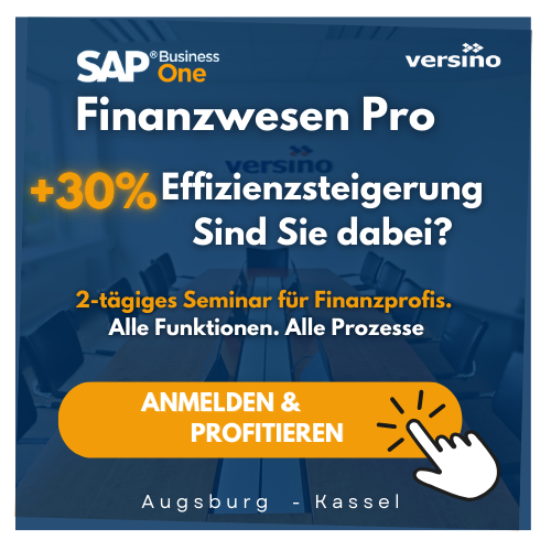 SAP Business One Finance Schulung