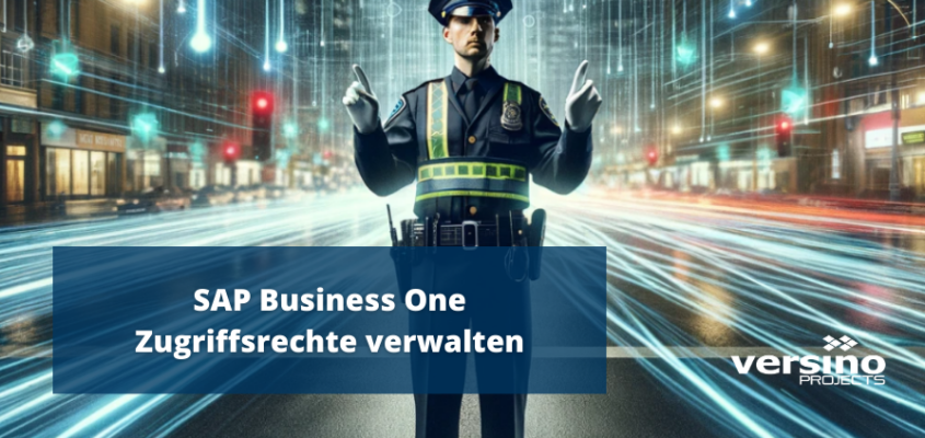 SAP Business One Zugriffsrechte verwalten