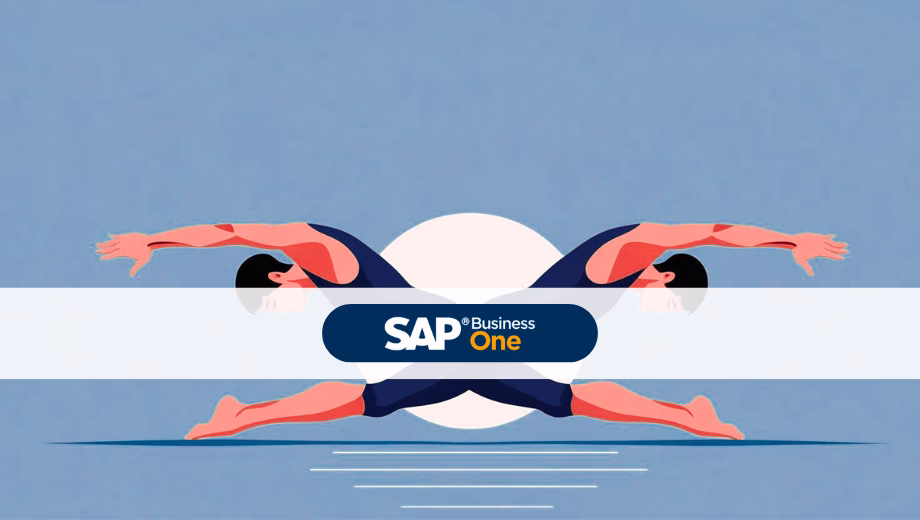 SAP Business One und DATEV Synchron