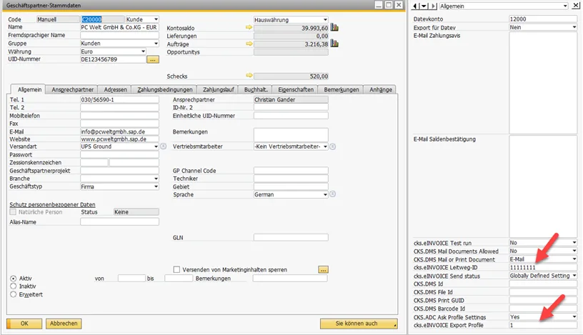 Geschäftspartnerstamm CKS.EINVOICE